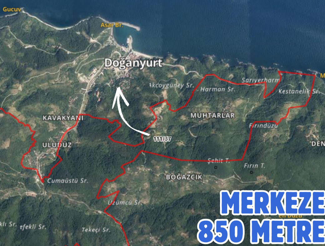 KASTAMONU DOĞANYURT HOCA 184 M² TARLAMIZ SATILIKTIR - KASTAMONU DOĞANYURT fotoğraf 2